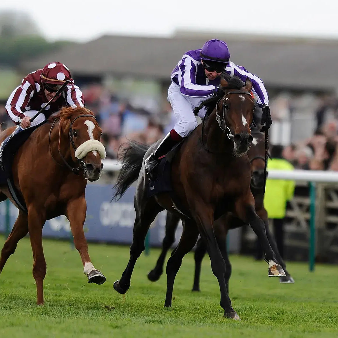 Horse Racing - SJ Chauffeurs