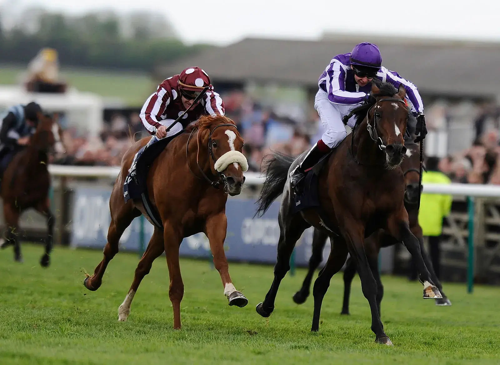 Horse Racing - SJ Chauffeurs